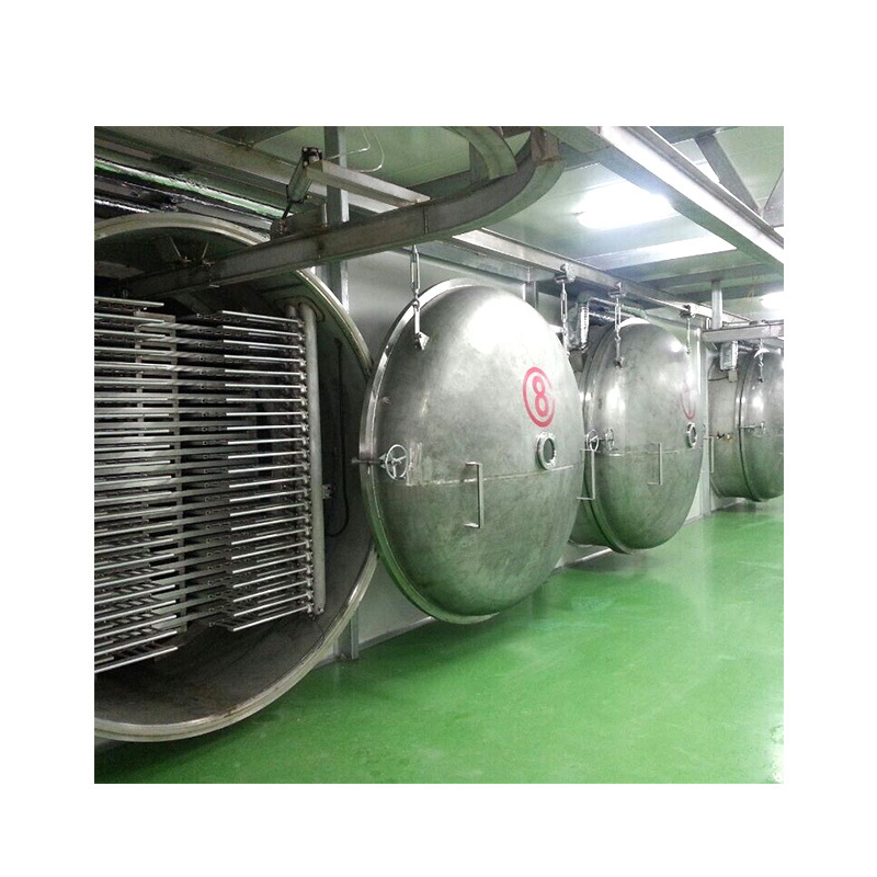 200m2大型生產(chǎn)型凍干機(jī)（2000kg/批）