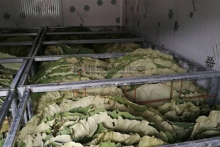 空氣能荷葉烘干機(jī)——荷葉烘干工藝