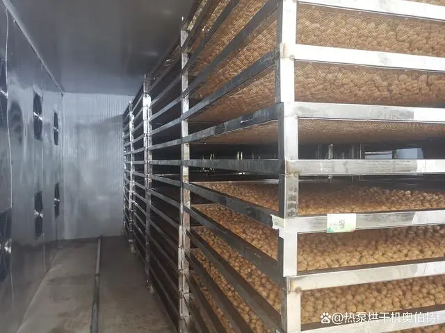 小型桂圓烘干機(jī)熱泵桂圓烘干機(jī)